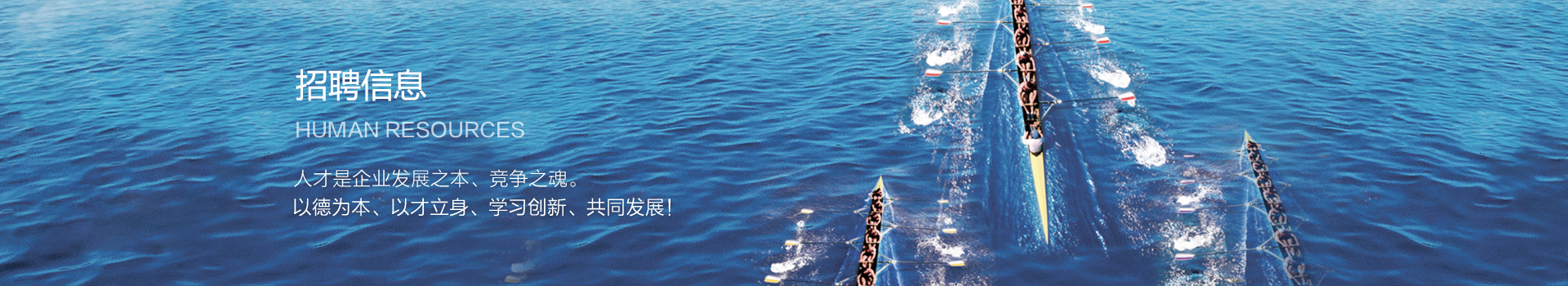 招聘信(xin)息